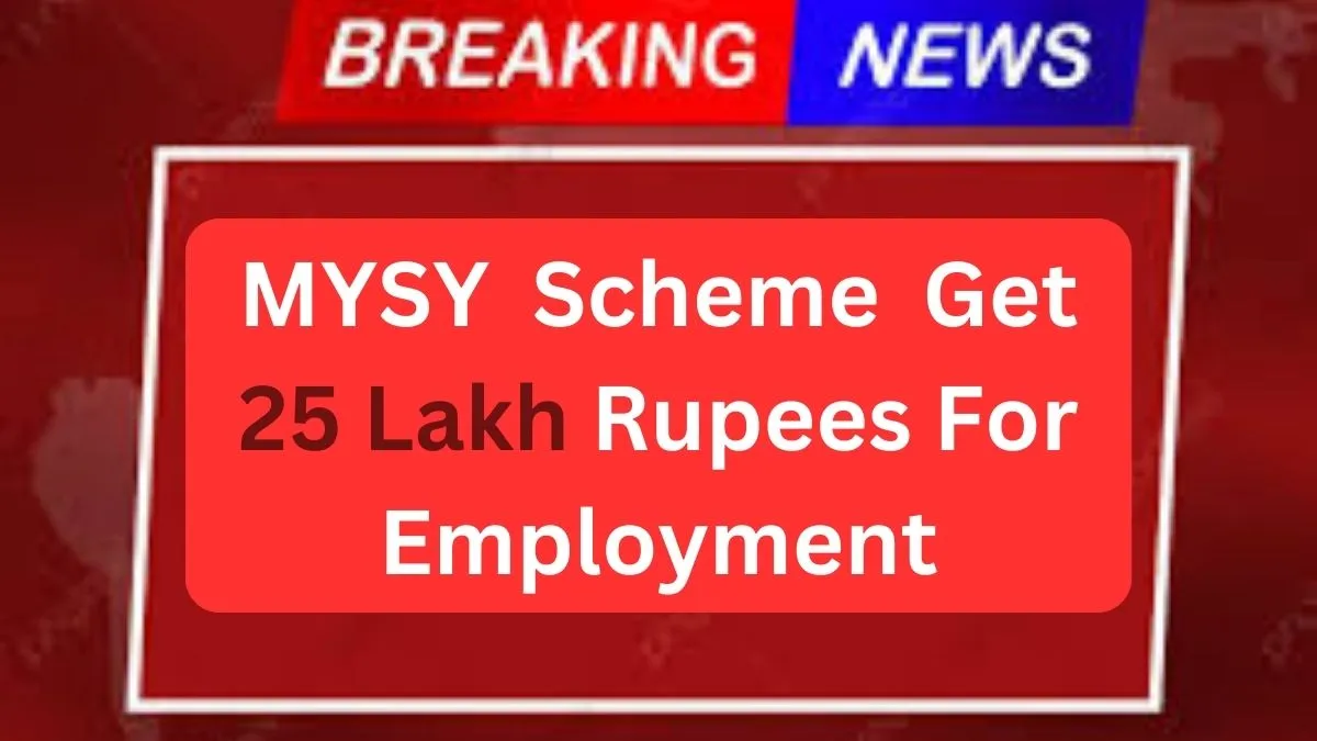 MYSY Scheme Get 25 Lakh Rupees For Employment